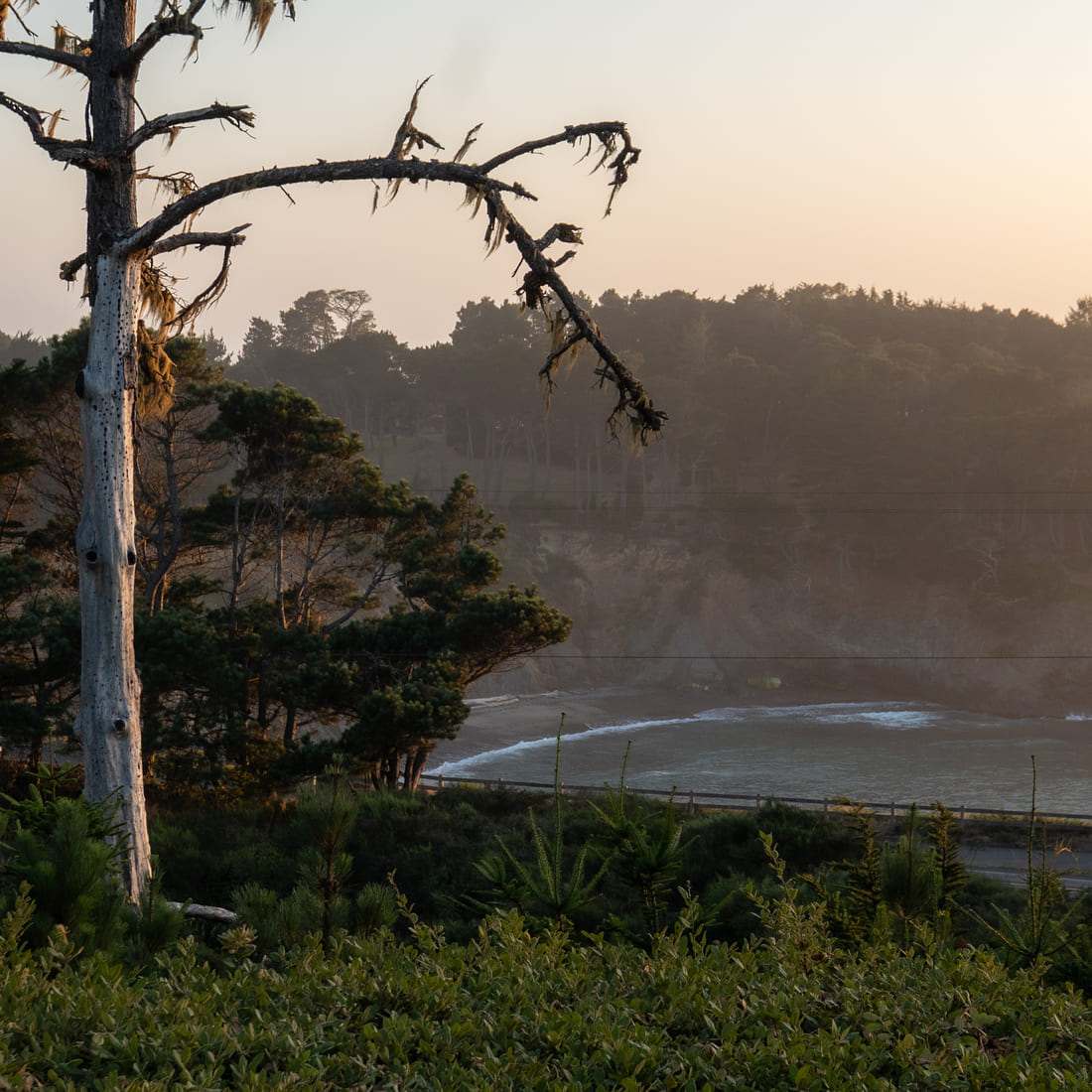 Smuggler’s Cove at dusk below the inn